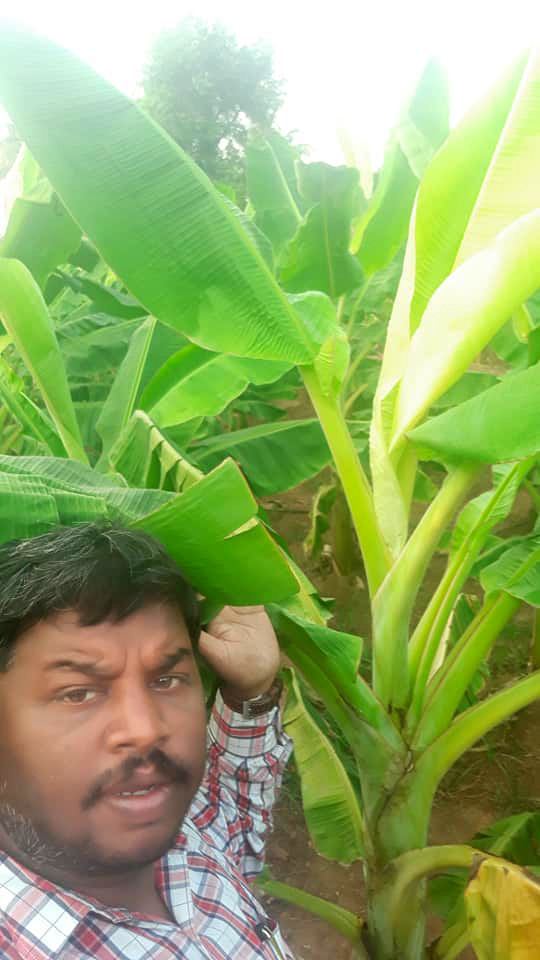 Sakthi Agri Businesses Bio care division
                            SAB VERMI
