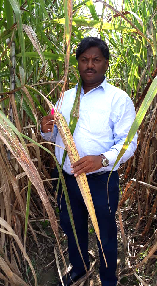 Sakthi Agri Businesses Bio care division
                            SAB VERMI