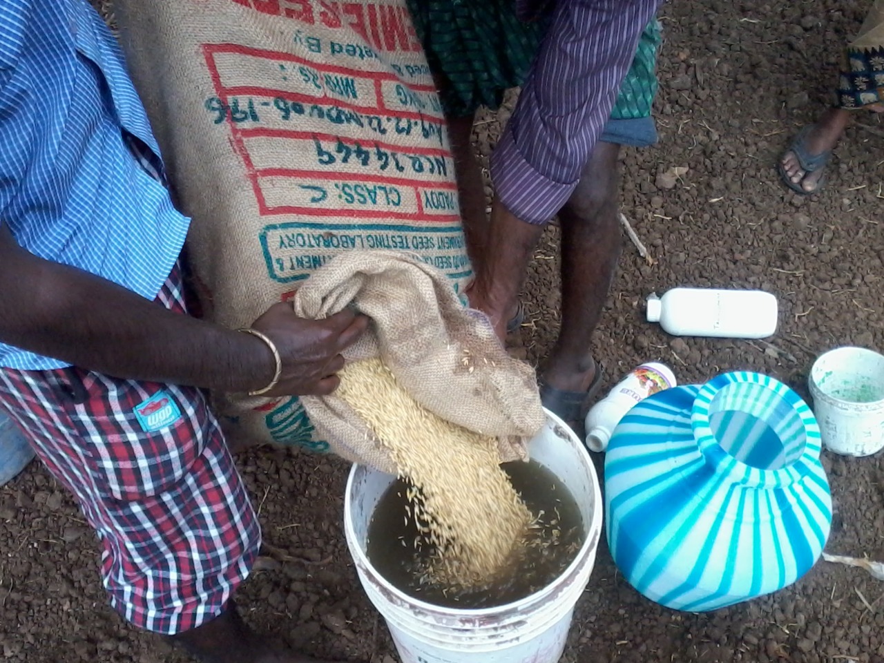 sakthi agro clinic Paddy Field