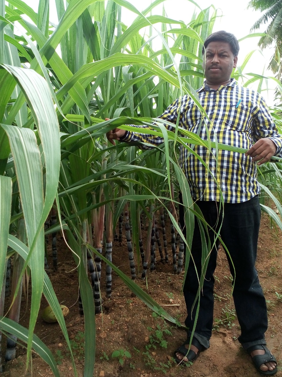 sakthi agro clinic