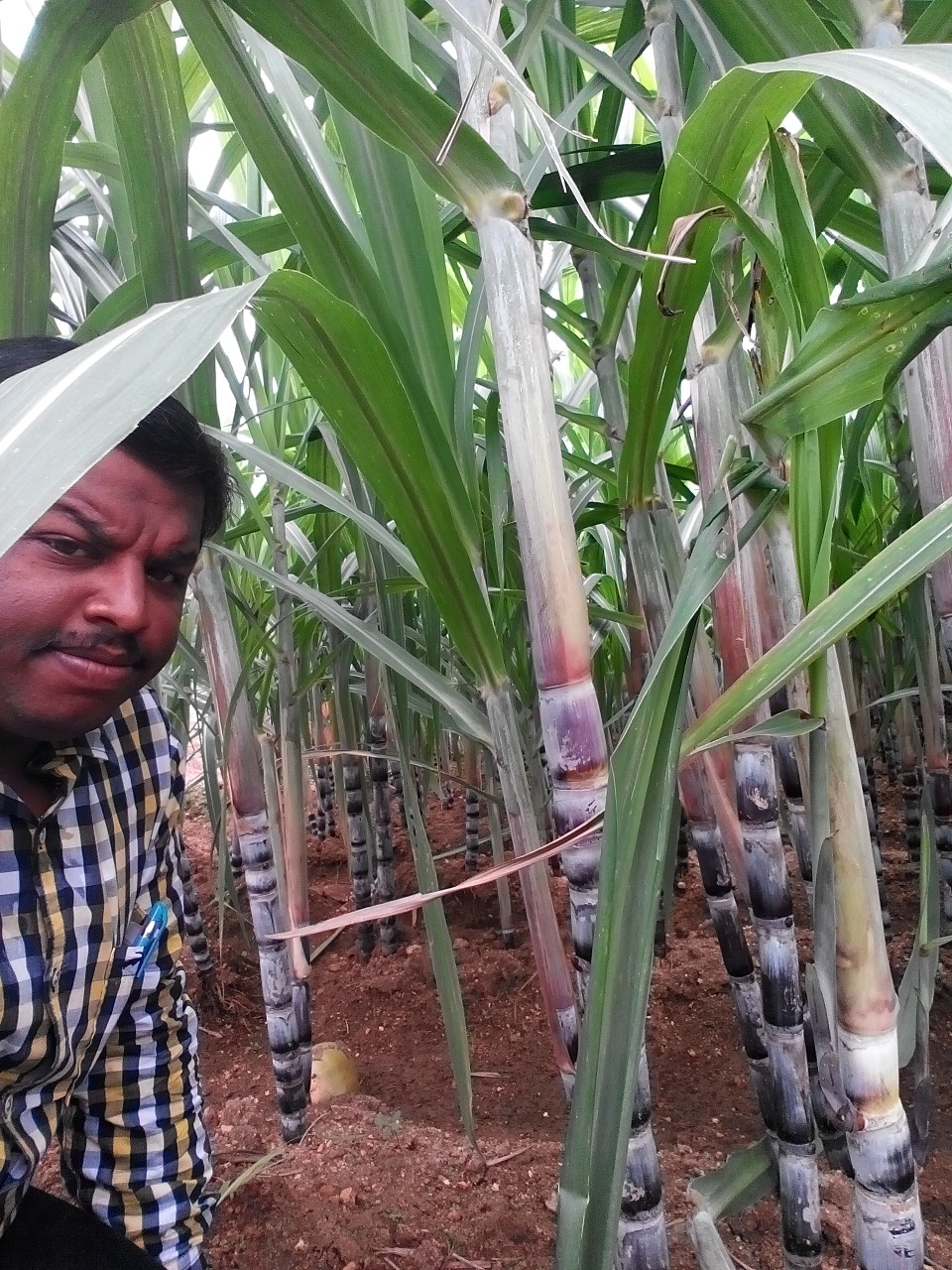 sakthi agro clinic