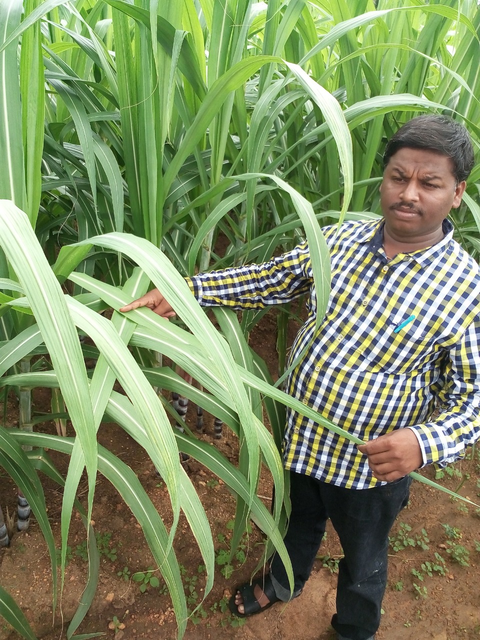 sakthi agro clinic
