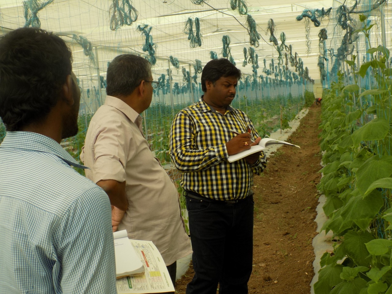 sakthi agro clinic Vegetable and Tomato