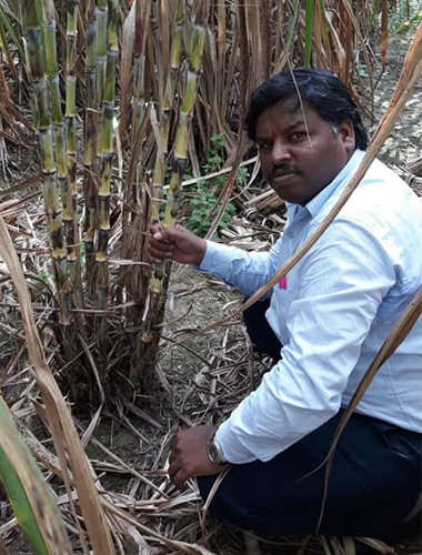 Specialties of Sakthi Agri Clinic