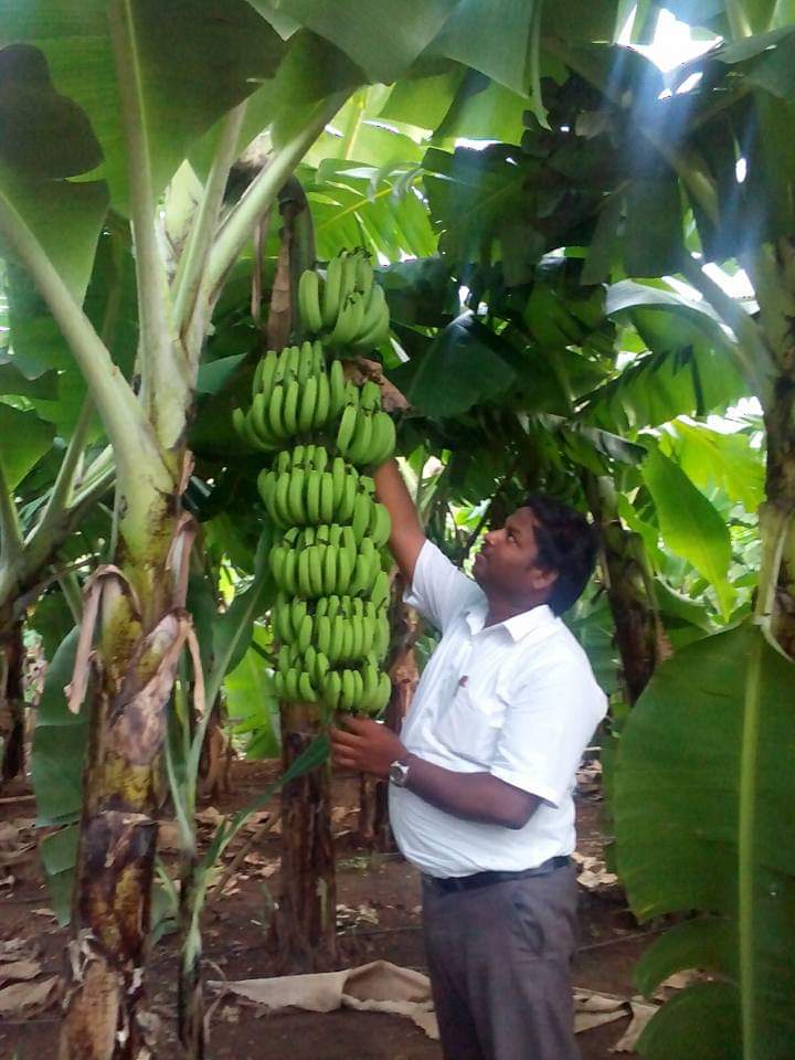 sakthi agri clinic