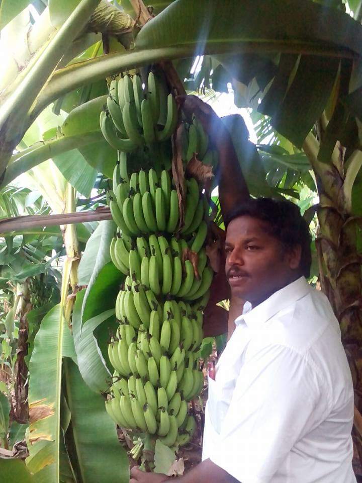 sakthi agri clinic