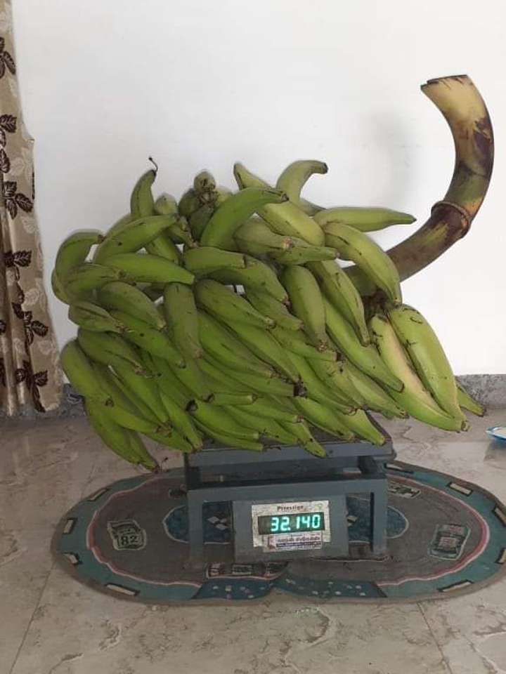 sakthi agri clinic
