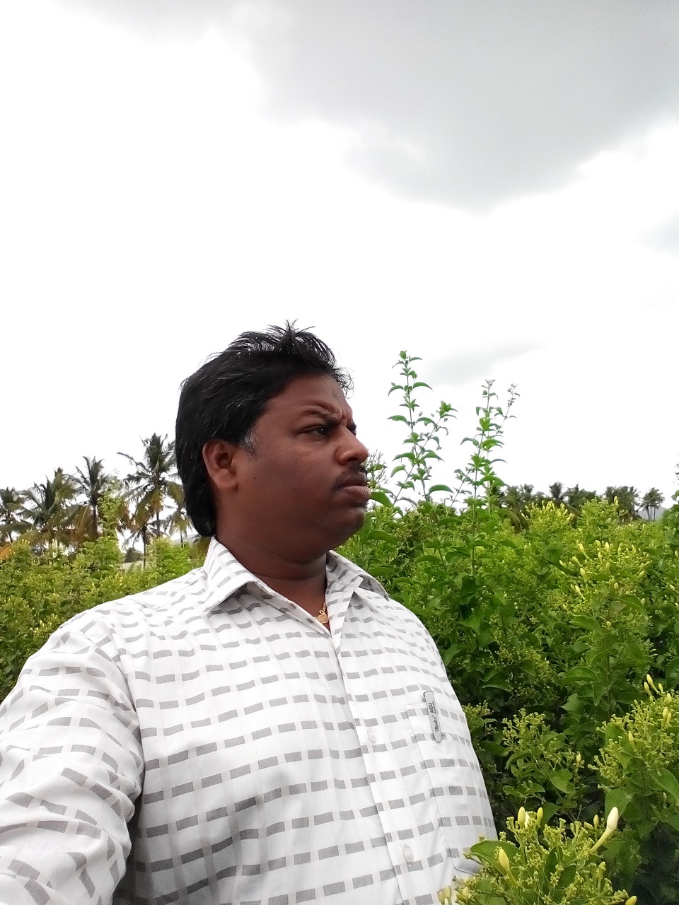 sakthi agro clinic Flowers