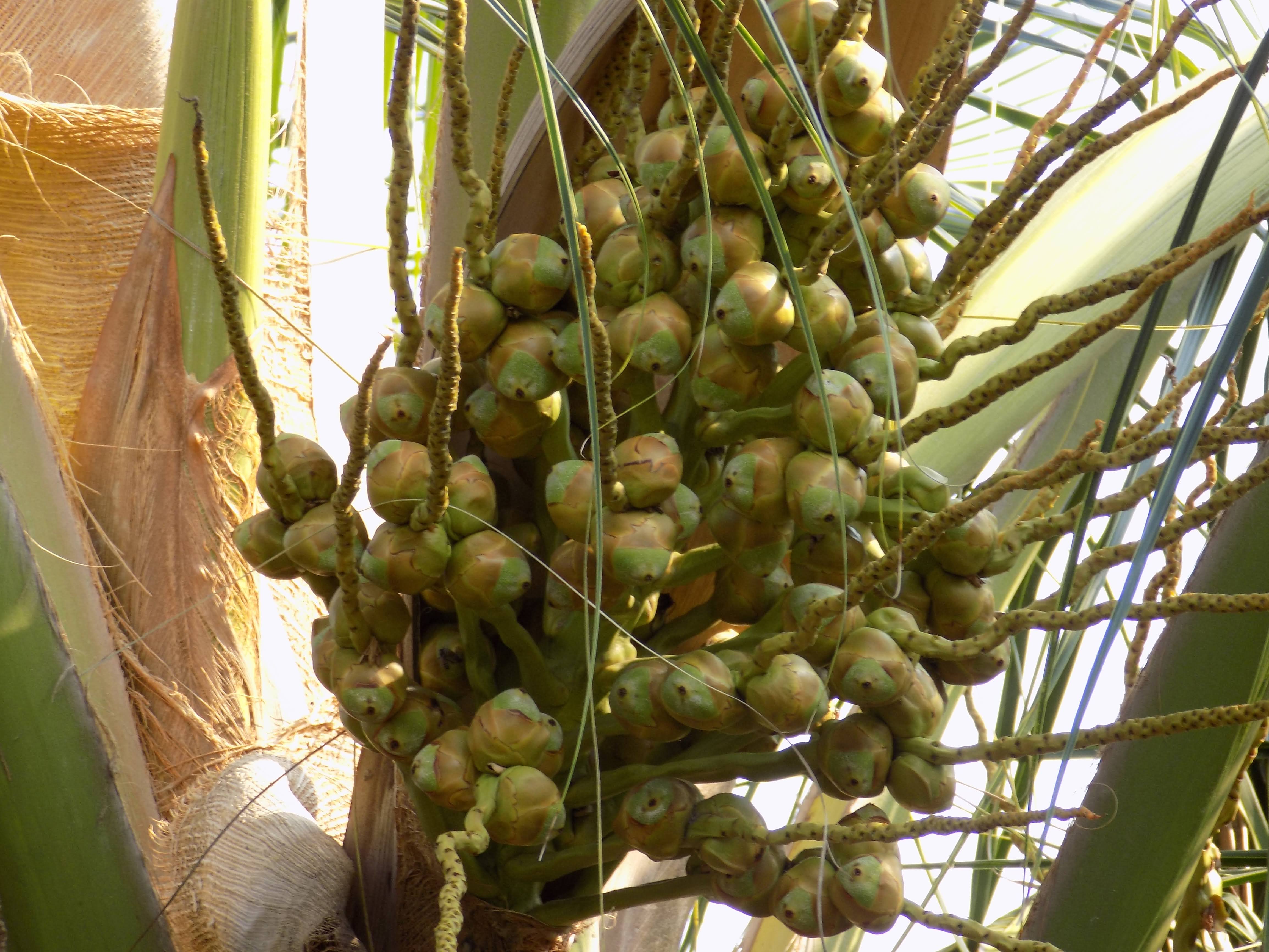 sakthi agro clinic