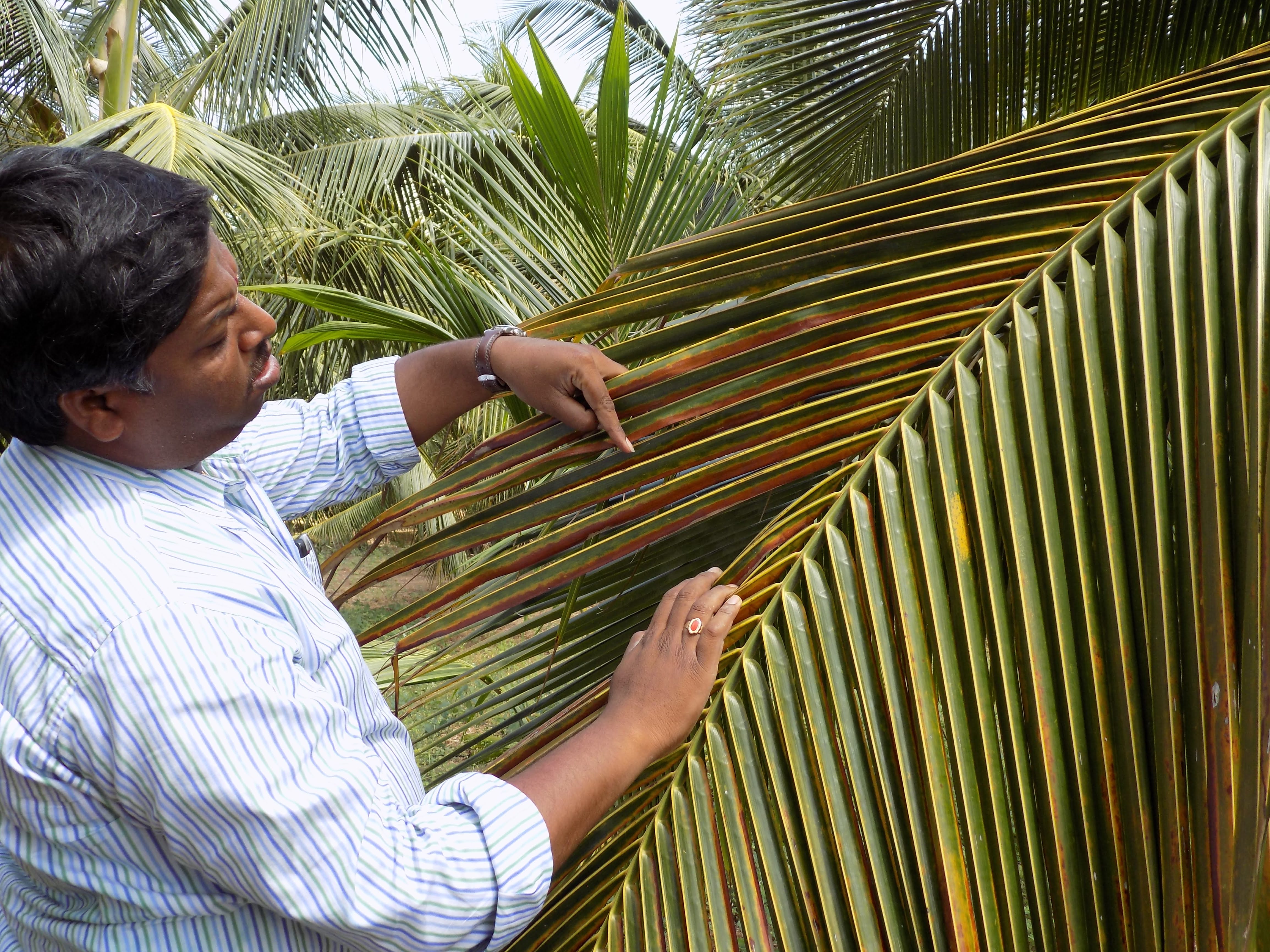sakthi agro clinic