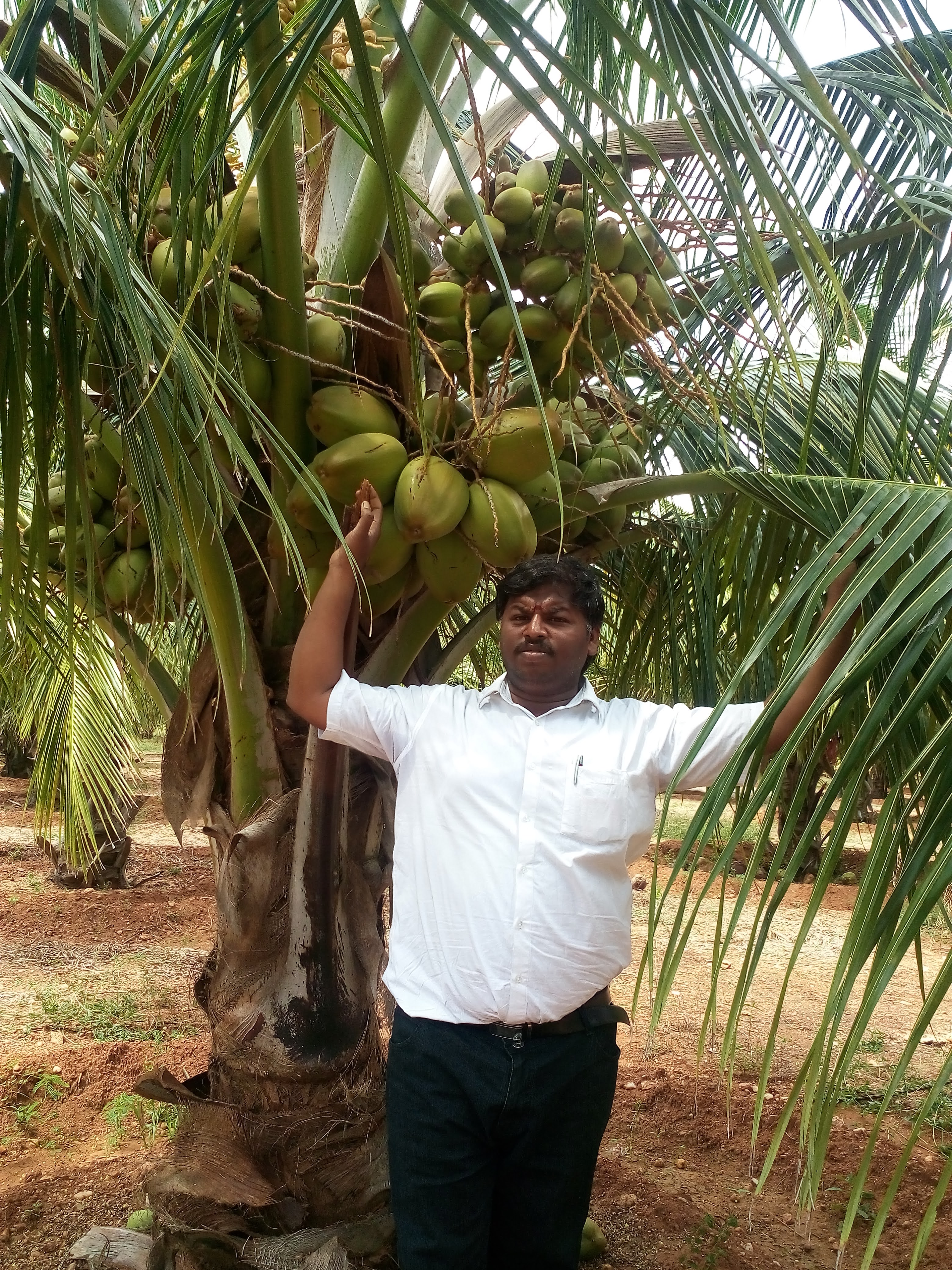 sakthi agro clinic