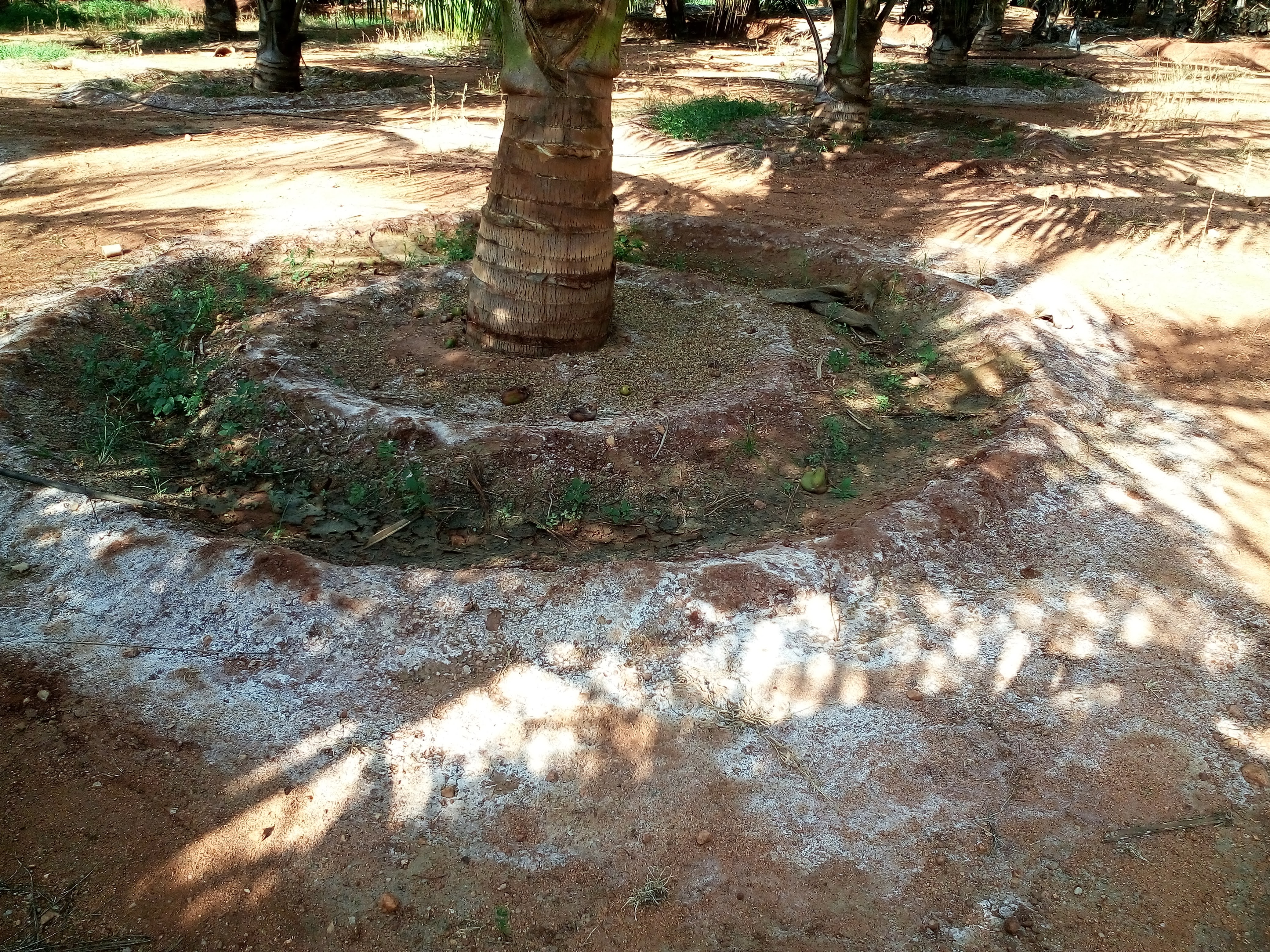 sakthi agro clinic