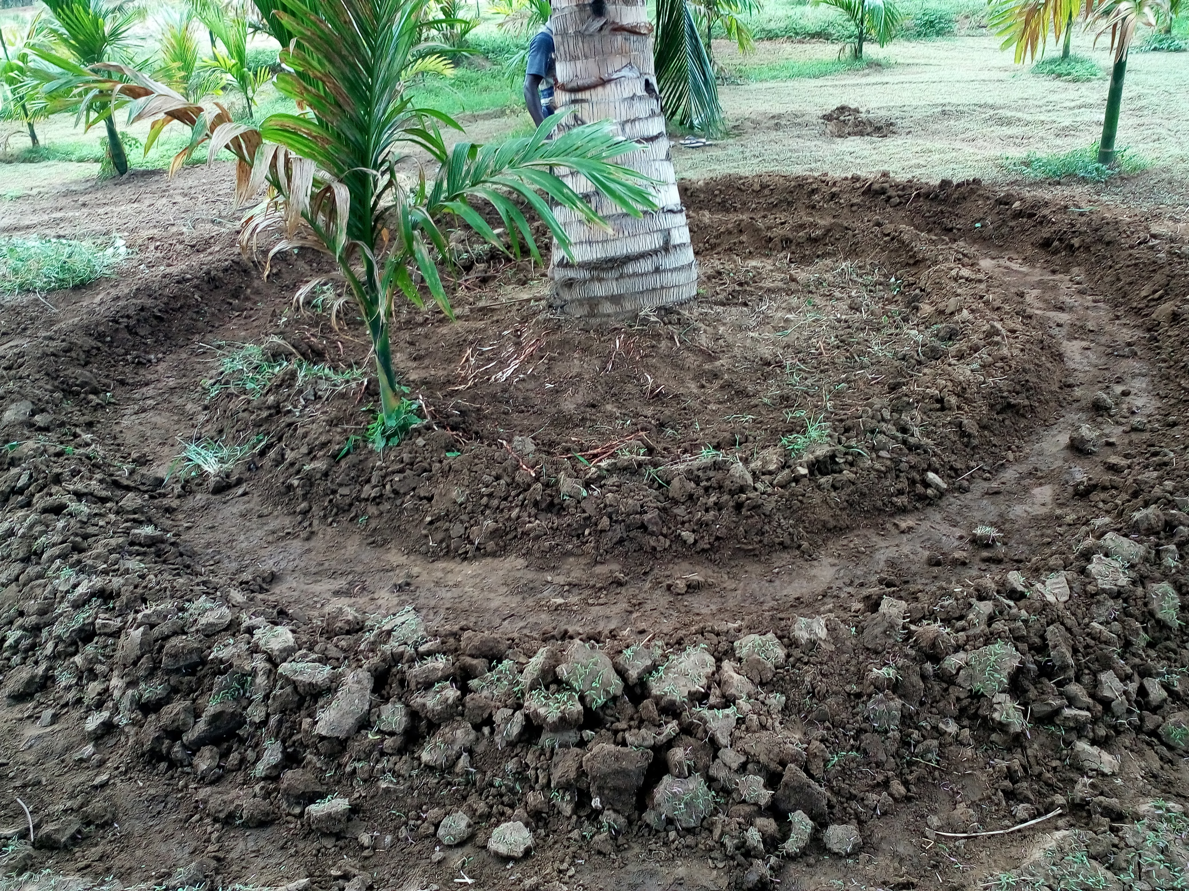 sakthi agro clinic