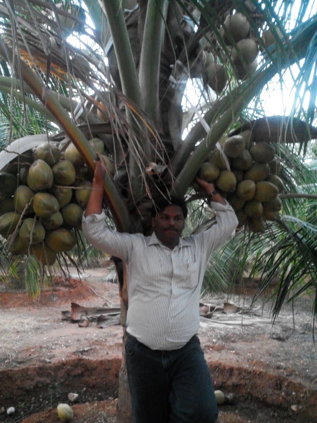 sakthi agro clinic