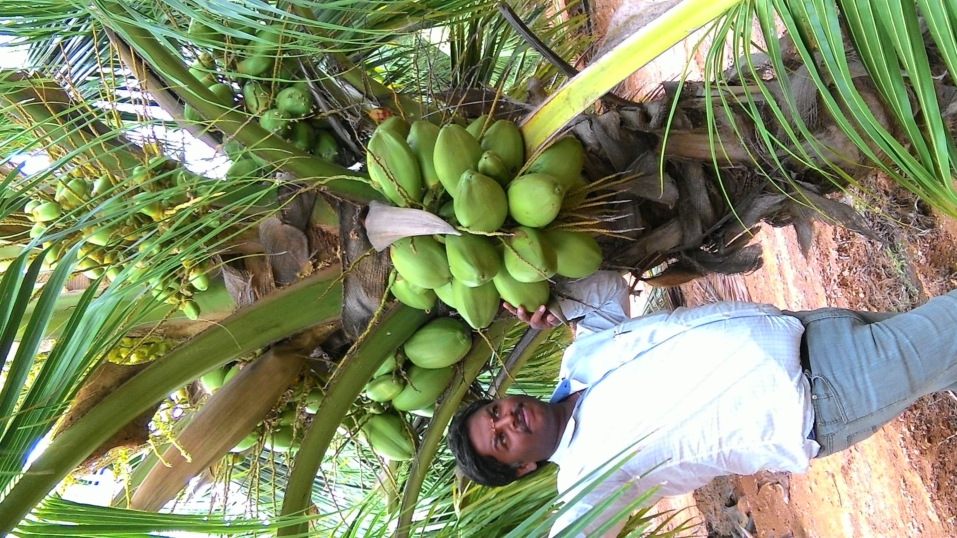 sakthi agro clinic