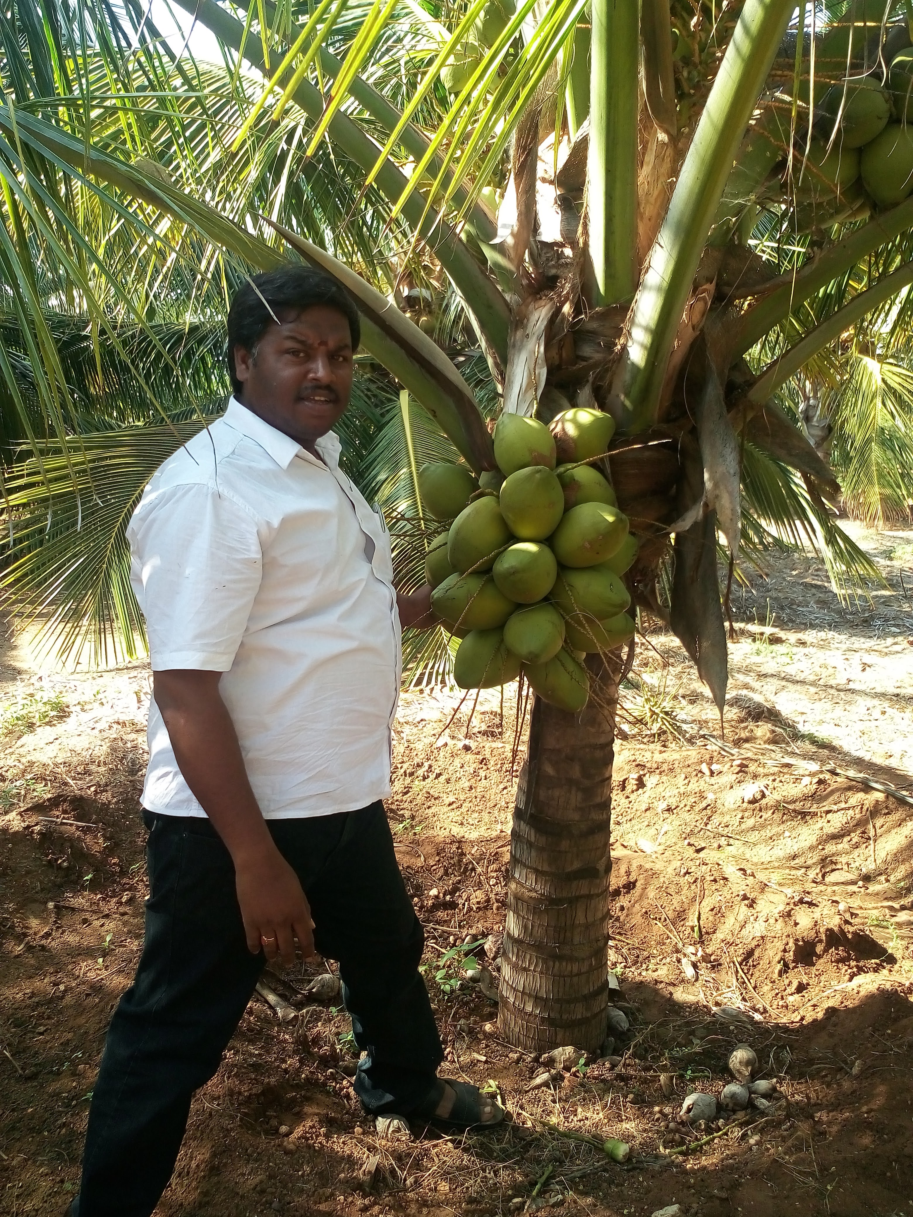 sakthi agro clinic