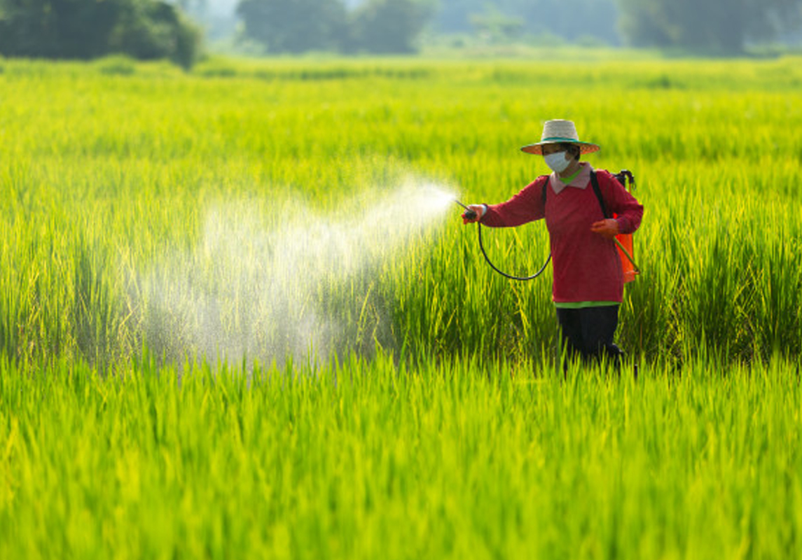 All Kinds of Sprayers