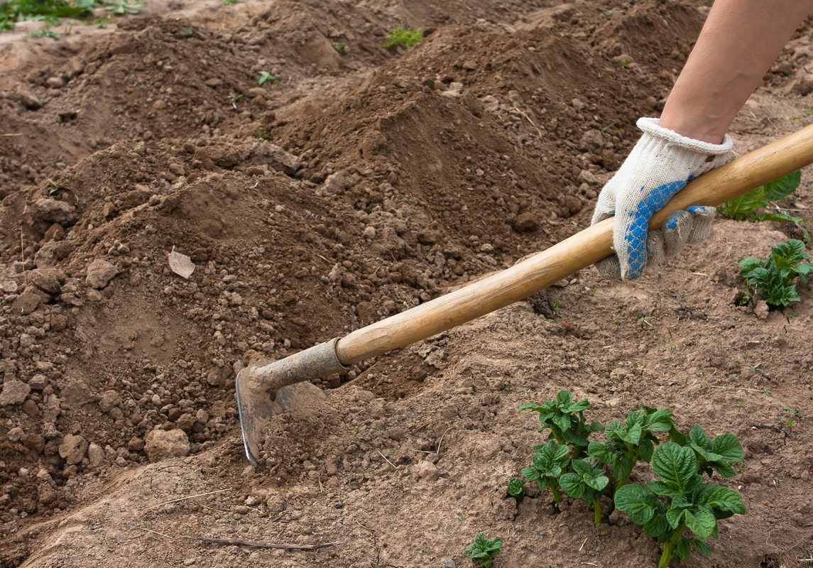 Hand use hoes.
