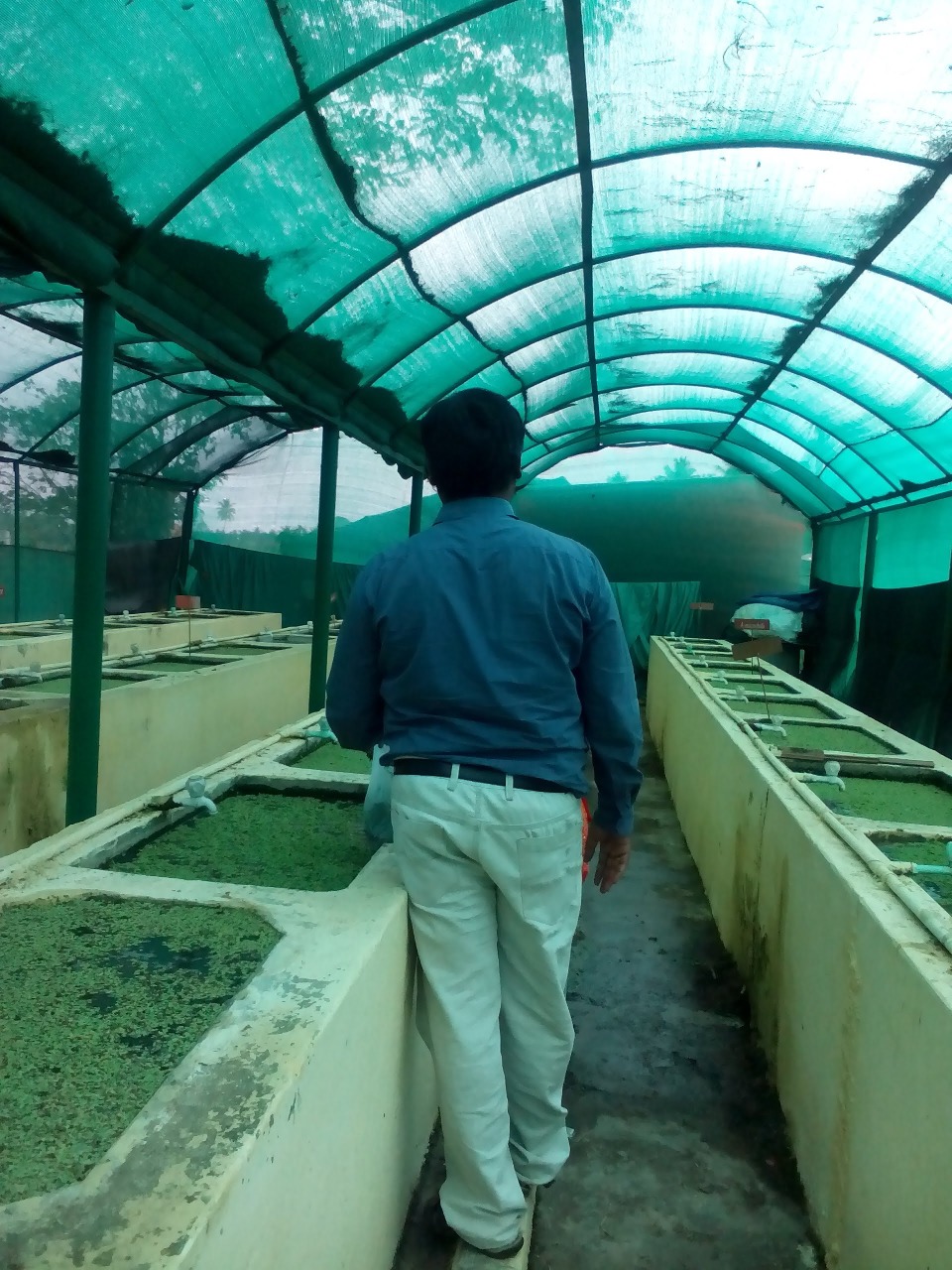 sakthi agro clinic