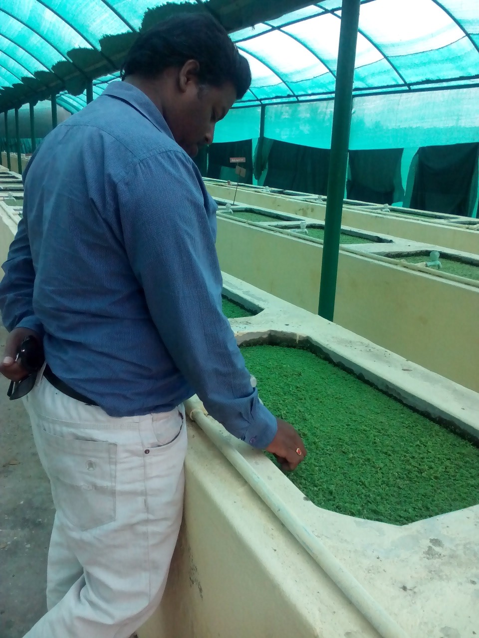 sakthi agro clinic
