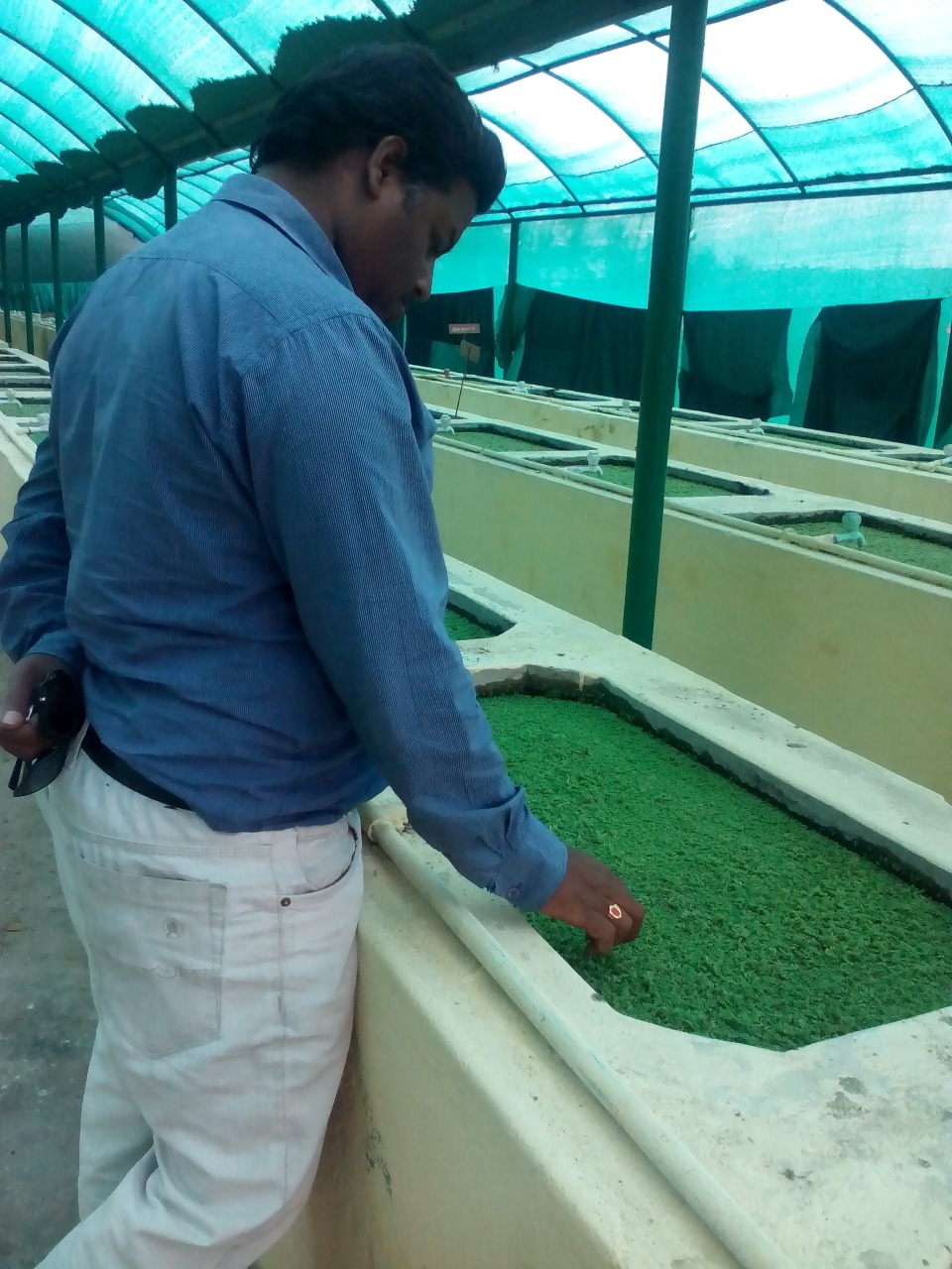 sakthi agro clinic